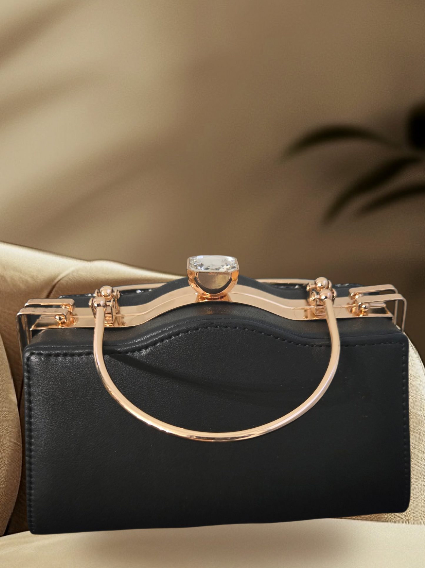 Royal Noir Jeweled Frame Clutch