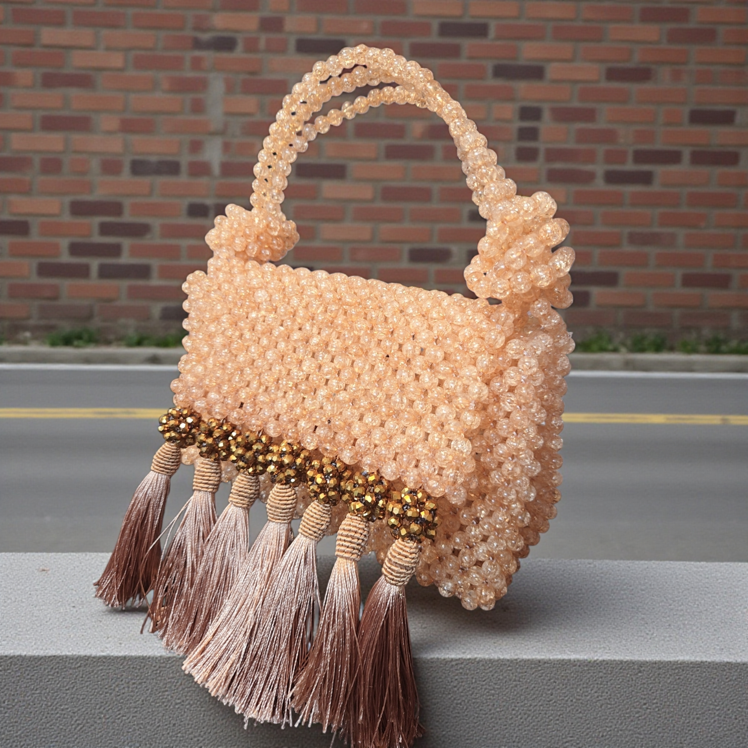 Aurora Tassel Beaded Mini Handbag – Handcrafted Statement Purse